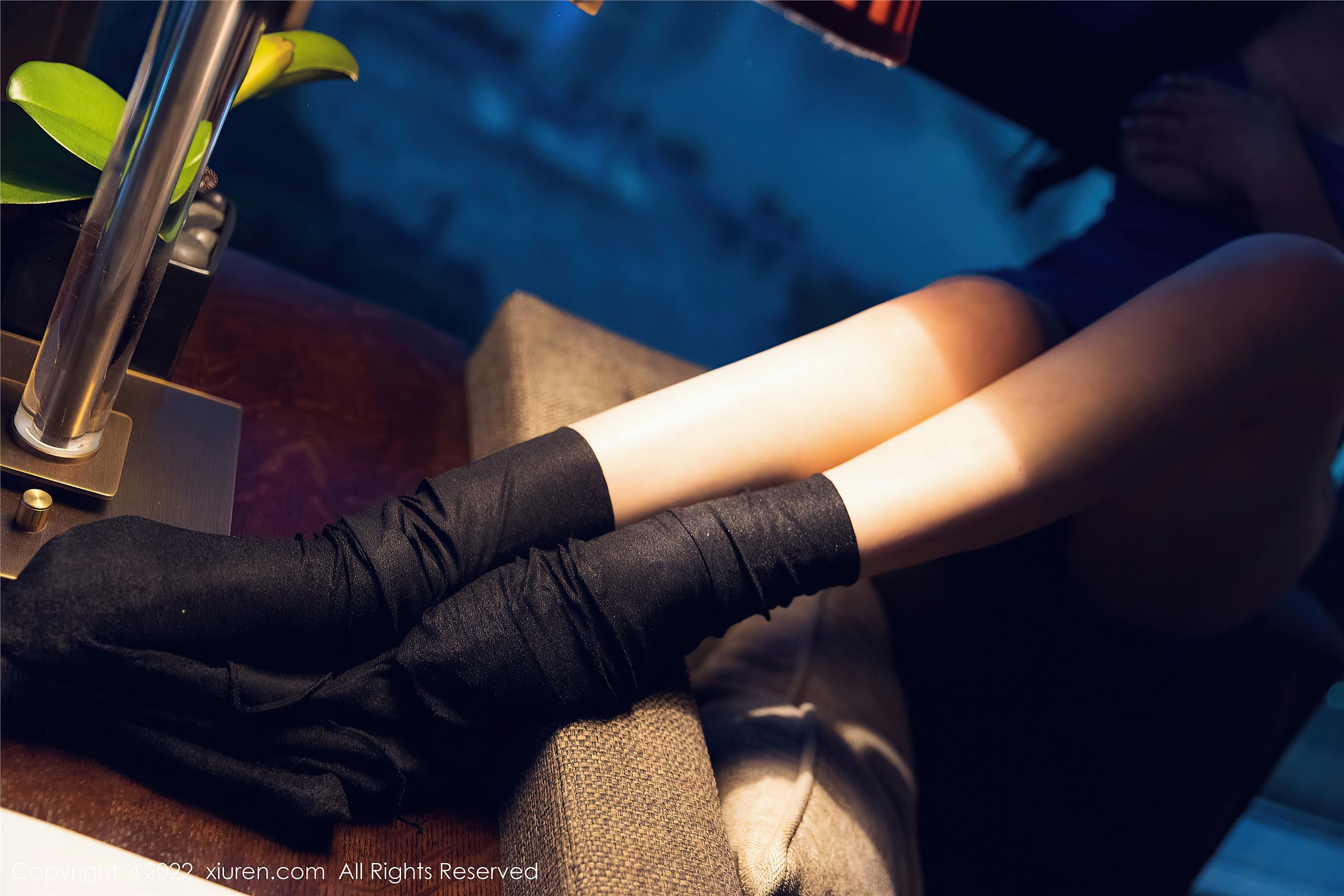 Xiuren秀人网 2022.01.21 NO.4496 允爾